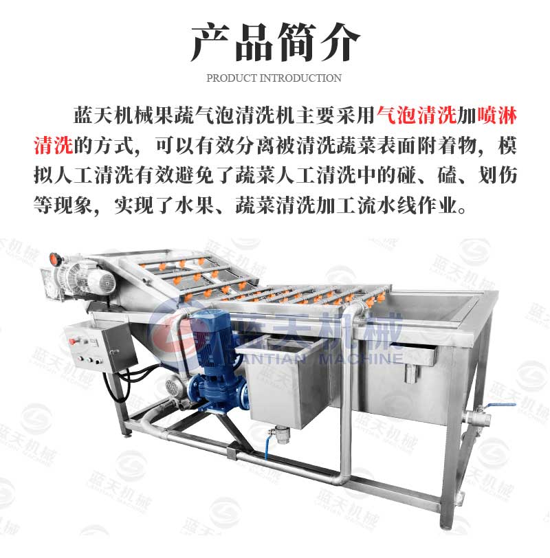 果蔬气泡清洗机产品简介